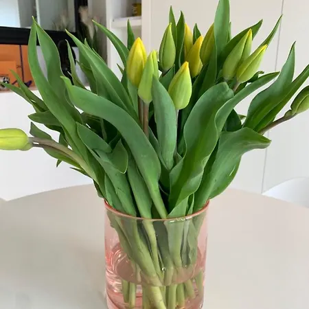 Luxe Studio/suite Met Zeezicht En Volle Zon *