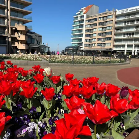 Apartment Luxe Studio/suite Met Zeezicht En Volle Zon