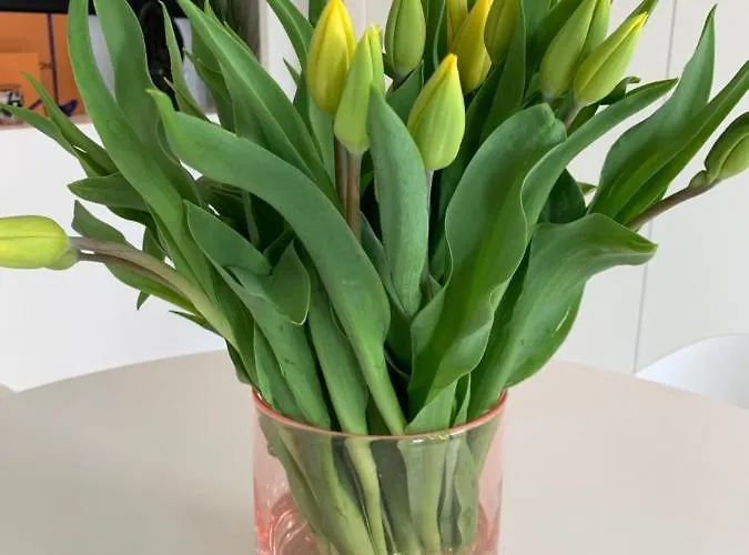 Luxe Studio/suite Met Zeezicht En Volle Zon *