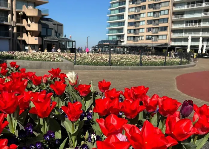 Apartment Luxe Studio/suite Met Zeezicht En Volle Zon